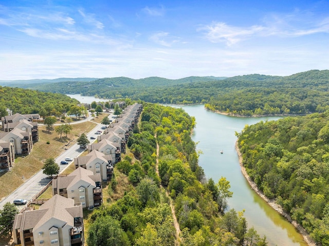 bird's eye view of a water and mountain view