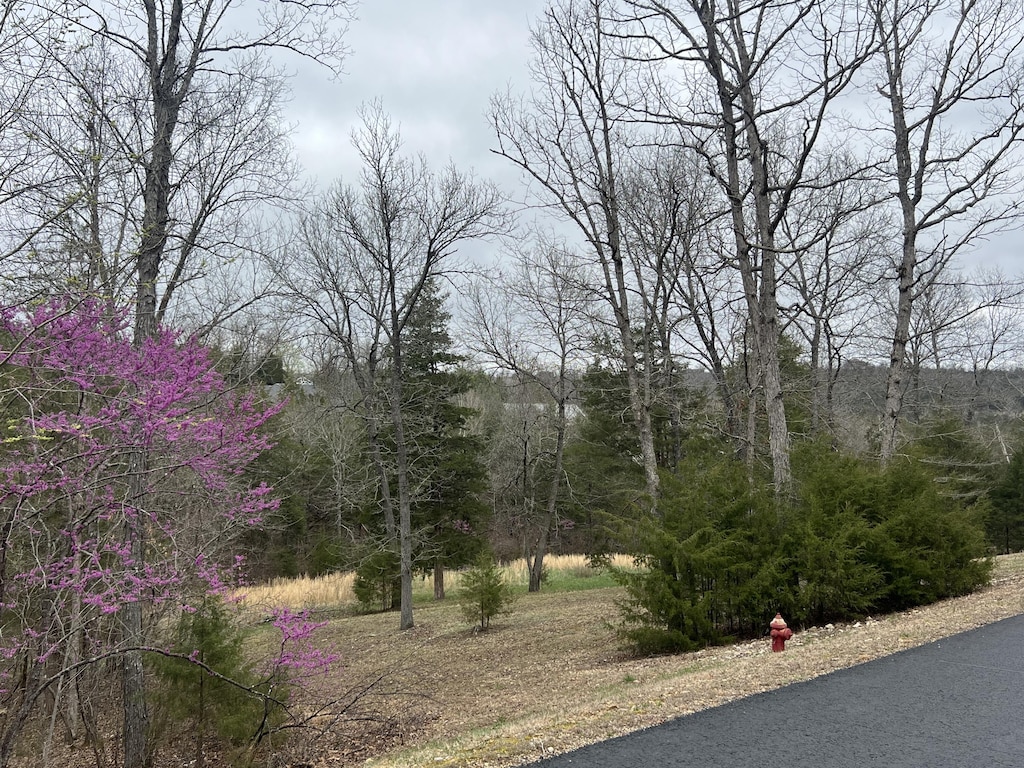 000 Appaloosa Trl, Saddlebrooke, MO 65630