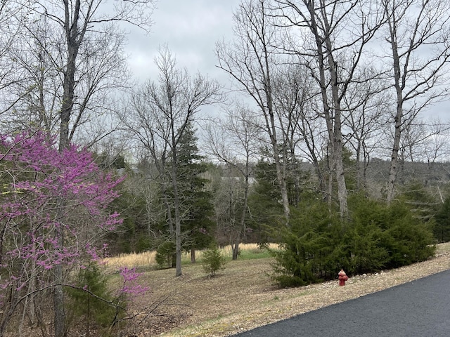 000 Appaloosa Trl, Saddlebrooke, MO 65630