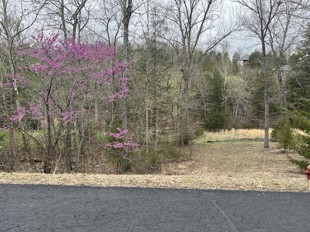 000 Appaloosa Trl, Saddlebrooke, MO 65630