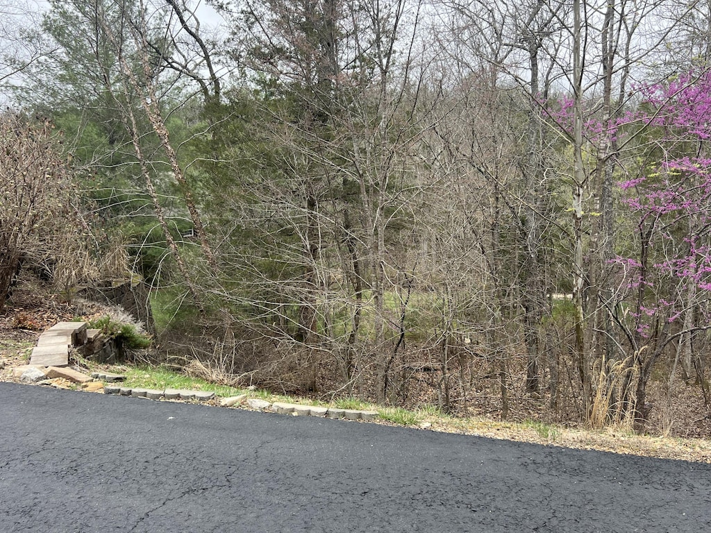 000 Appaloosa Trl, Saddlebrooke, MO 65630