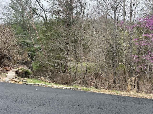 000 Appaloosa Trl, Saddlebrooke, MO 65630