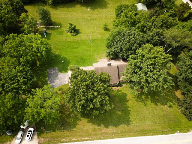 5350 E Farm Road 168, Rogersville, MO 65742 - photo 50