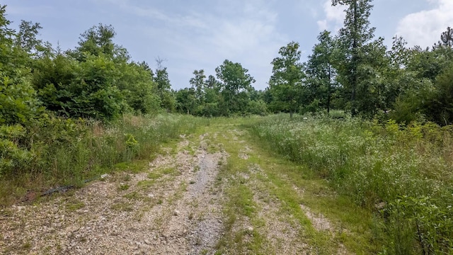 10916 Stella Way, Birch Tree, MO 65438 - photo 5