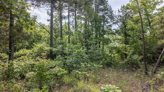 10916 Stella Way, Birch Tree, MO 65438 - photo 10