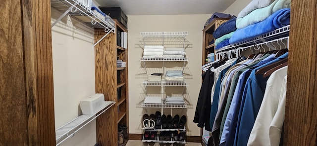 3889 E State Highway Kk, Fair Grove, MO 65648 - view of walk in closet