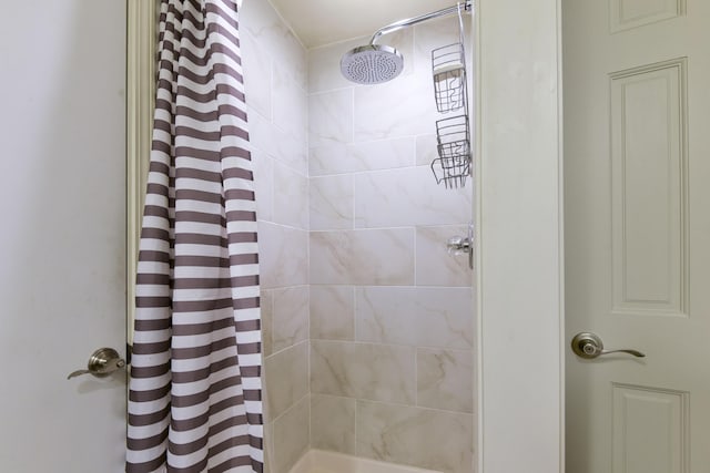 164 Sweet Home Trl, Theodosia, MO 65761 - bathroom with tiled shower