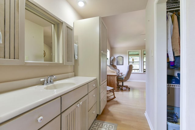 164 Sweet Home Trl, Theodosia, MO 65761 - bathroom featuring wood finished floors, vanity, and a spacious closet