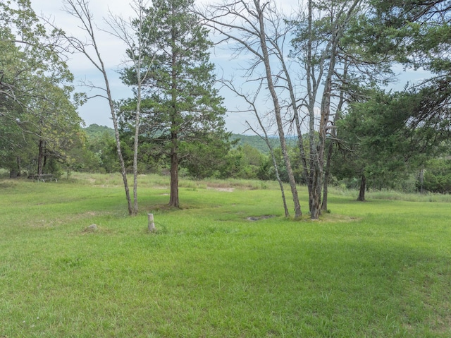 164 Sweet Home Trl, Theodosia, MO 65761 - view of grassy yard featuring a wooded view