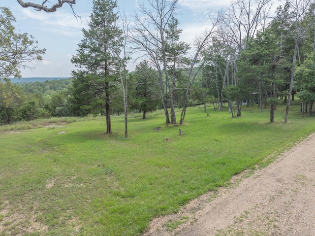 164 Sweet Home Trl, Theodosia, MO 65761 - view of grassy yard with a view of trees