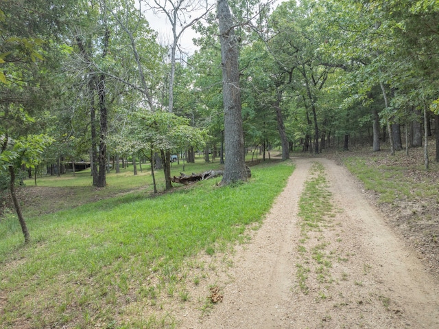 164 Sweet Home Trl, Theodosia, MO 65761 - view of dirt / gravel road