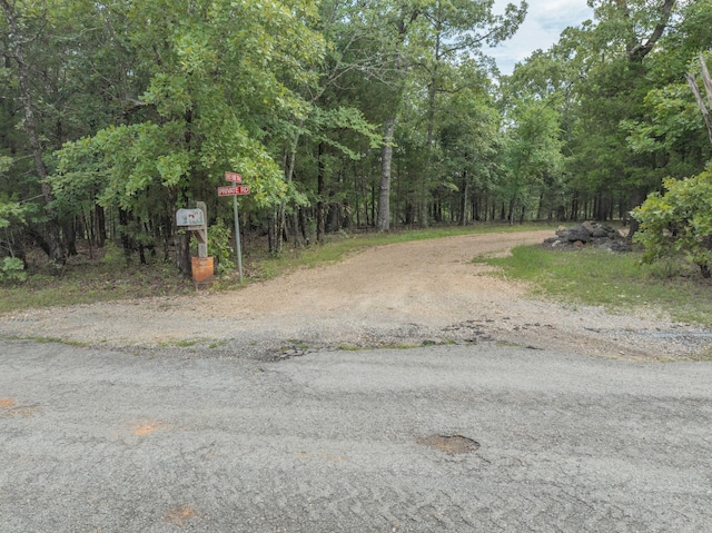 164 Sweet Home Trl, Theodosia, MO 65761 - view of dirt / gravel road featuring a view of trees