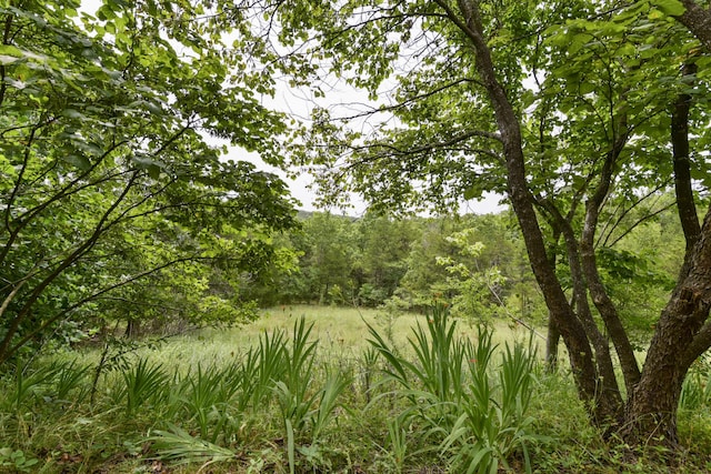 164 Sweet Home Trl, Theodosia, MO 65761 - view of woods