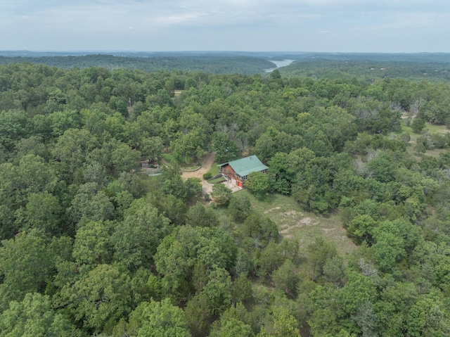 164 Sweet Home Trl, Theodosia, MO 65761 - view of property location featuring a heavily wooded area