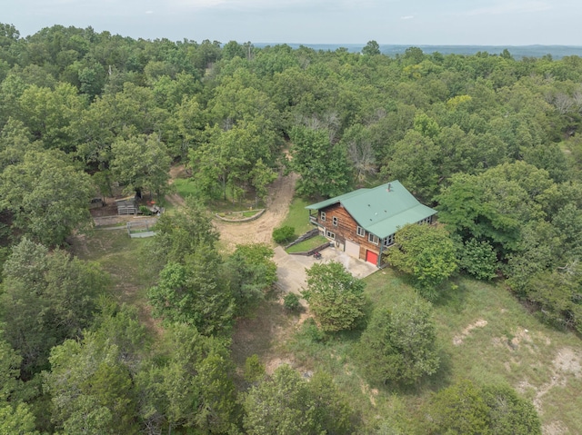 164 Sweet Home Trl, Theodosia, MO 65761 - view of subject property with a heavily wooded area