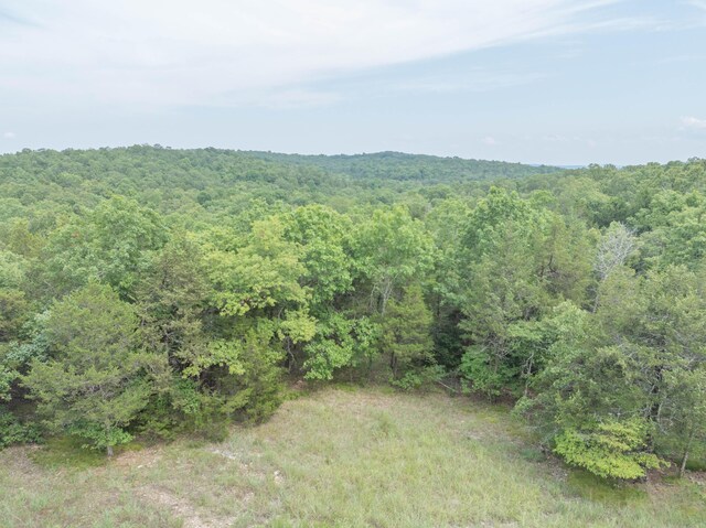 164 Sweet Home Trl, Theodosia, MO 65761 - view of mountain background featuring a heavily wooded area