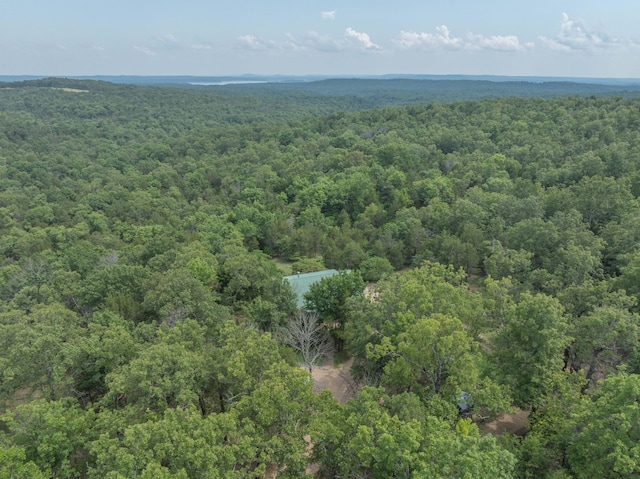 164 Sweet Home Trl, Theodosia, MO 65761 - aerial view of a forest