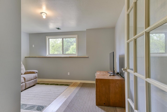 164 Sweet Home Trl, Theodosia, MO 65761 - office with wood finished floors and a textured ceiling