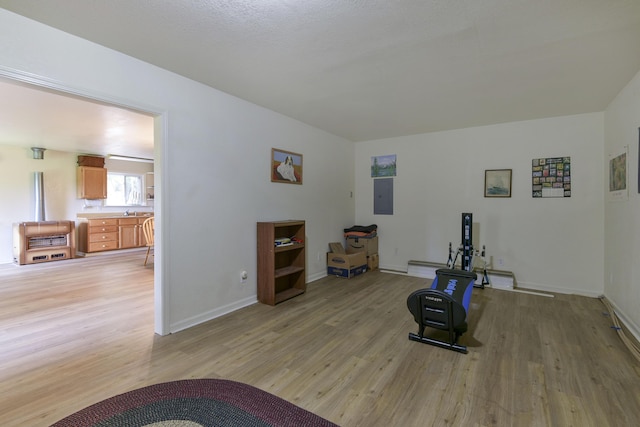 164 Sweet Home Trl, Theodosia, MO 65761 - exercise room with light wood-style floors and electric panel