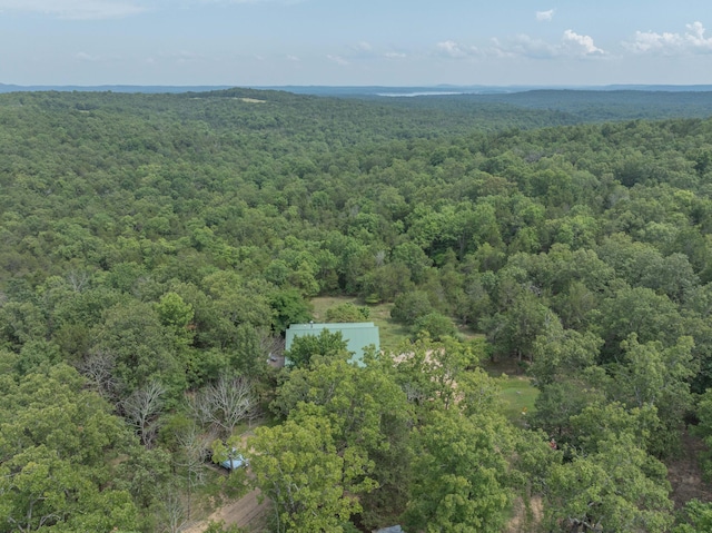164 Sweet Home Trl, Theodosia, MO 65761 - drone / aerial view of a forest