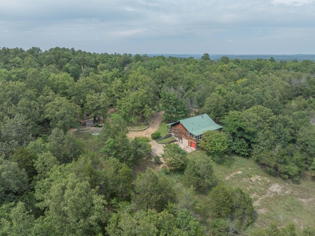 164 Sweet Home Trl, Theodosia, MO 65761 - view of property location with a forest