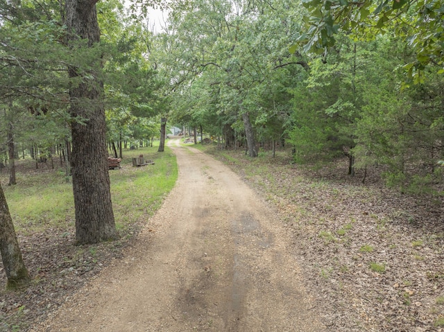164 Sweet Home Trl, Theodosia, MO 65761 - view of dirt / gravel road with a wooded view