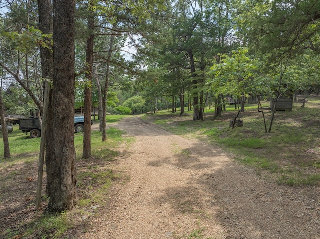 164 Sweet Home Trl, Theodosia, MO 65761 - view of dirt / gravel road