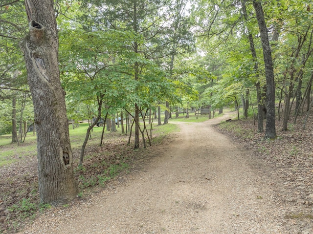164 Sweet Home Trl, Theodosia, MO 65761 - view of dirt / gravel road