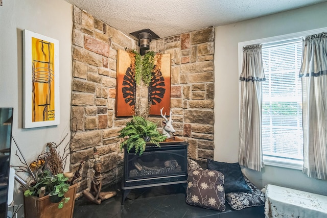 426 Lakewood Rd, Branson, MO 65616 - detailed view of a textured ceiling