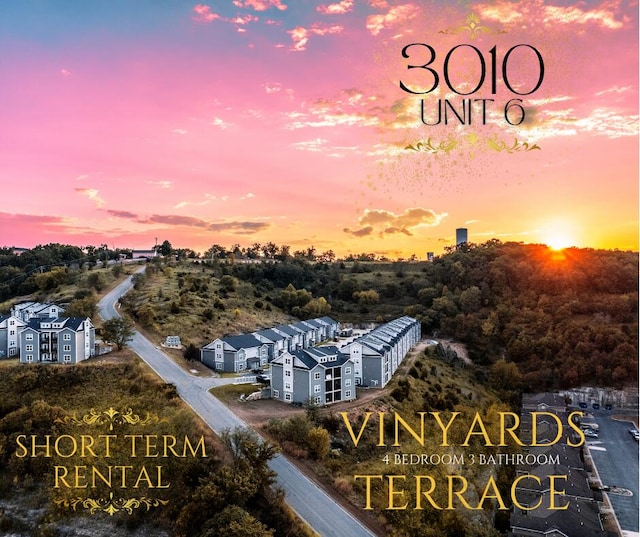 3010 N Vineyards Ter Unit 6, Branson, MO 65616 - drone / aerial view