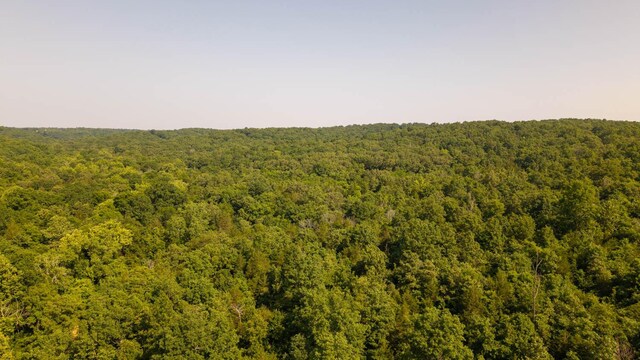 TBD Browns Creek Rd, Ravenden, AR 72459 - photo 16