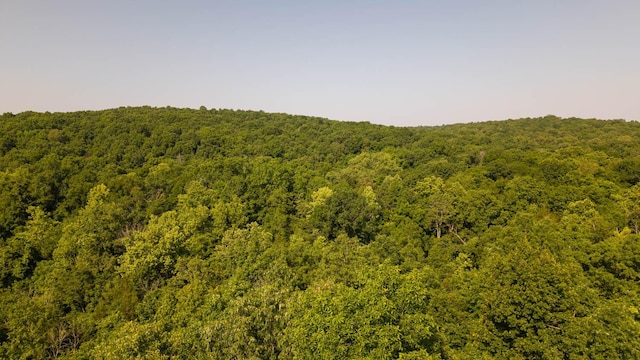 TBD Browns Creek Rd, Ravenden, AR 72459 - photo 21