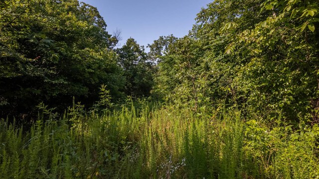TBD Browns Creek Rd, Ravenden, AR 72459 - photo 10