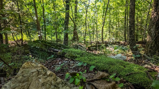 TBD Browns Creek Rd, Ravenden, AR 72459 - photo 7
