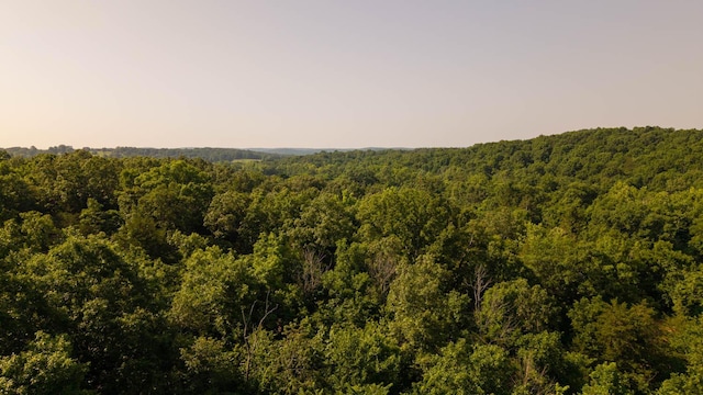 TBD Browns Creek Rd, Ravenden, AR 72459 - photo 18