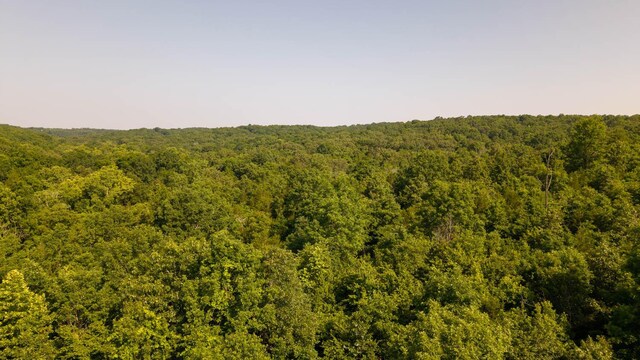 TBD Browns Creek Rd, Ravenden, AR 72459 - photo 17