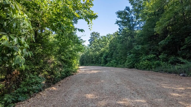 TBD Browns Creek Rd, Ravenden, AR 72459 - photo 13