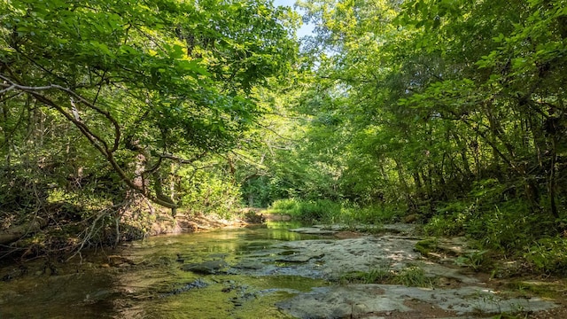 TBD Browns Creek Rd, Ravenden, AR 72459 - photo 4