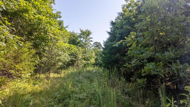 TBD Browns Creek Rd, Ravenden, AR 72459 - photo 12