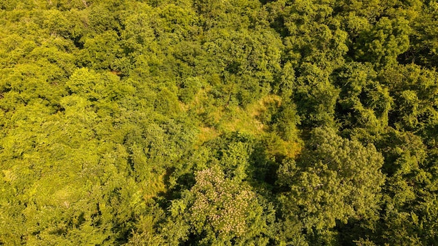 TBD Browns Creek Rd, Ravenden, AR 72459 - photo 20