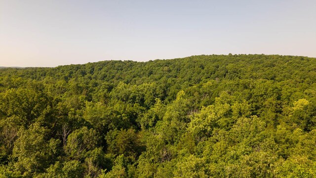 TBD Browns Creek Rd, Ravenden, AR 72459 - photo 19