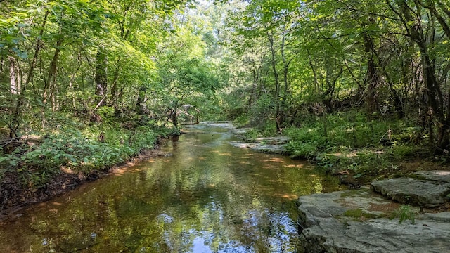 TBD Browns Creek Rd, Ravenden, AR 72459 - photo 1