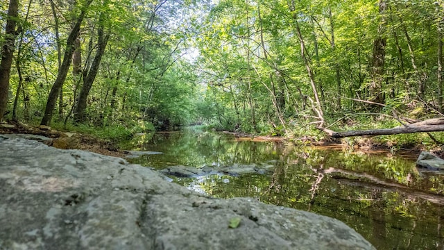 TBD Browns Creek Rd, Ravenden, AR 72459 - photo 6