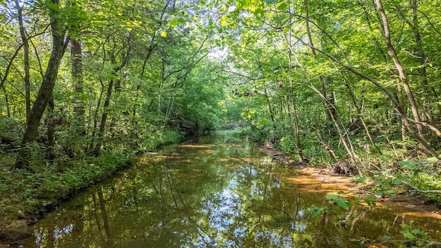 TBD Browns Creek Rd, Ravenden, AR 72459 - photo 3
