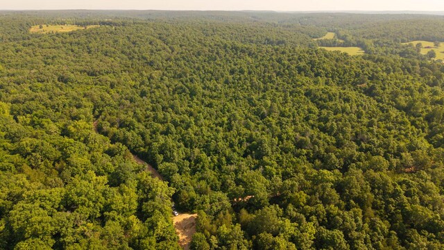 TBD Browns Creek Rd, Ravenden, AR 72459 - photo 14