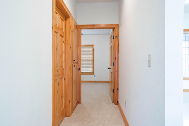 1466 S Natchez Rd, Republic, MO 65738 - corridor with light colored carpet and baseboards