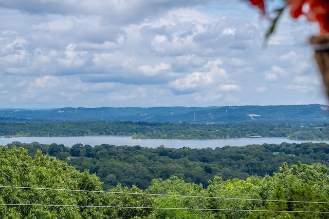 6089 State Highway Dd Unit 103, Branson West, MO 65737 - view of mountain background featuring a forest