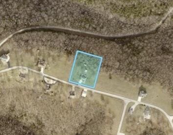 417 Panorama Dr, Cape Fair, MO 65624 - map / location