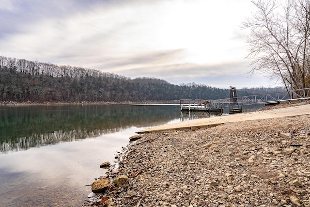 417 Panorama Dr, Cape Fair, MO 65624 - dock featuring a wooded view and a water view