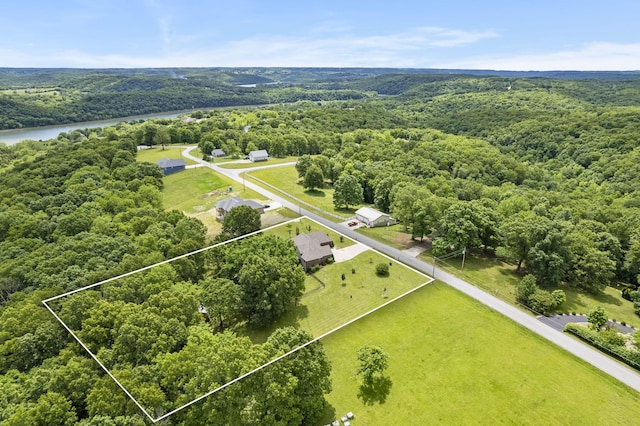 417 Panorama Dr, Cape Fair, MO 65624 - aerial view of property's location featuring property parcel outlined